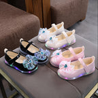 Zapatos de Princesa con Luces LED